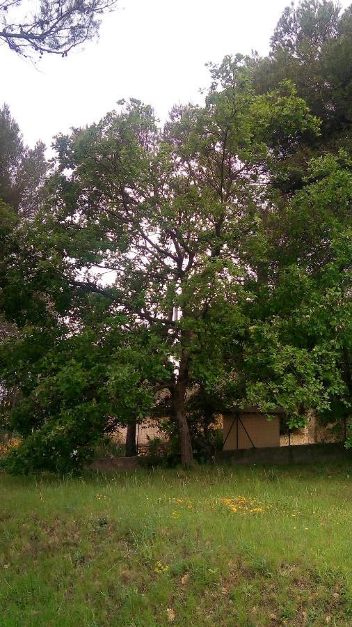 Bed and Breakfast Les Cigales Villelaure Экстерьер фото