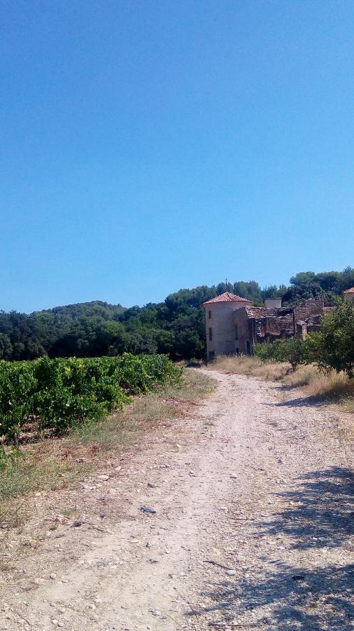 Bed and Breakfast Les Cigales Villelaure Экстерьер фото
